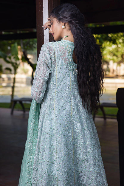 Pakistani Suits DIYA Al Libaas