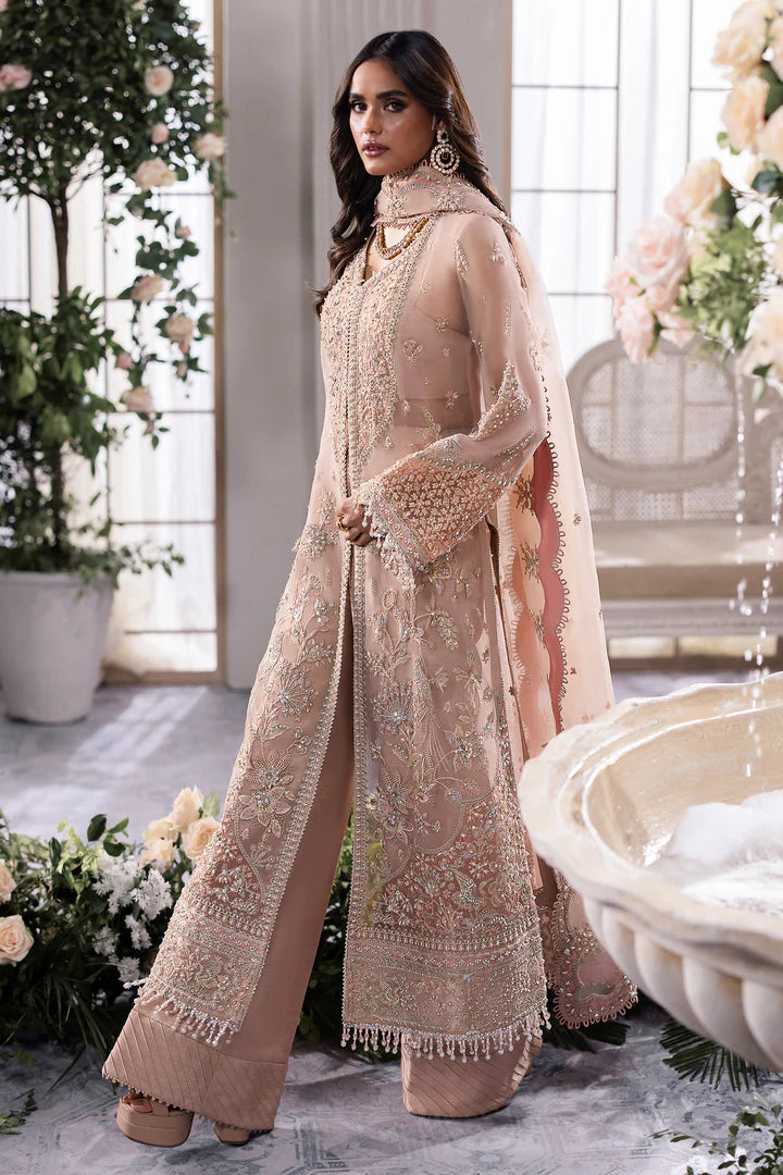 Pakistani Suits ELYSIA (ZC24-05) Al Libaas