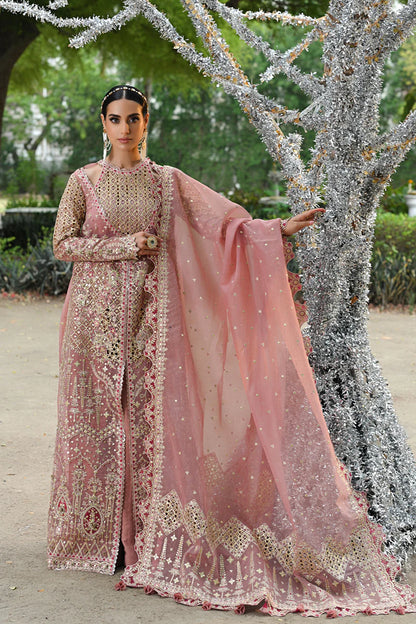 Pakistani Suit RF-02 SALEHA Al Libaas